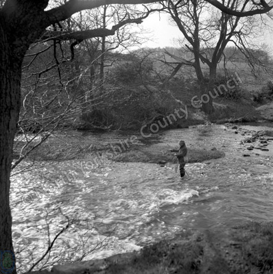 Fishing, River Nidd, Ripley, 1956